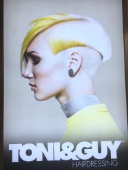 -TONI&GUY