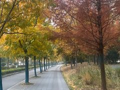 -粉小主·贵州酸汤牛肉粉(南京仙林金鹰店)