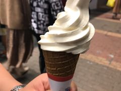 -富豪雪糕车流动点(尖沙咀)