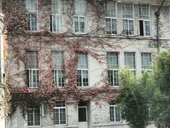 -南京鼓楼医院(鼓楼本部)