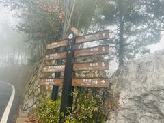 -莫干山风景区