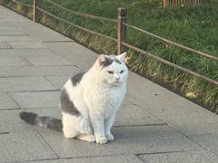 -西园寺素食(西园弄戒幢律寺店)
