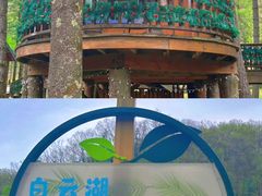 -洛阳白云山景区