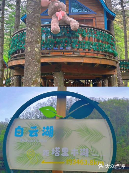 洛阳白云山景区图片