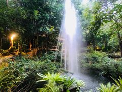 -绿光森林餐厅