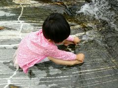 -房干生态旅游风景区