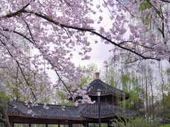 -茅家埠