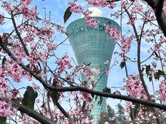-狐尾山公园