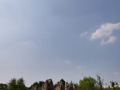 -秀丽东方