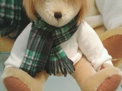 -济州岛泰迪熊博物馆