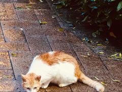 -汇兴源餐馆(小北路店)