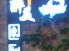 -醉美东江·三文鱼·烧鸡公