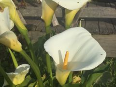 -威勒比开放式动物园