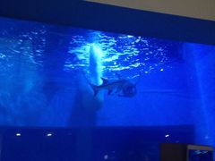 iphone_upload_pic-上海长江河口科技馆