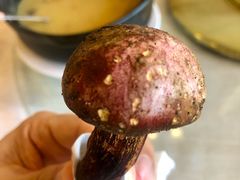 -锦腾轩滇味餐厅