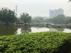 -新世界养发馆