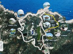 -广东惠东海龟国家级自然保护区