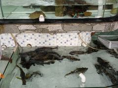 -沙田台山海鲜·酣客酒窖