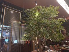 -同仁四季椰子鸡(海岸城天利店)