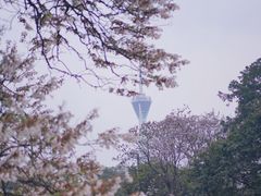 -红星桥(地铁站)