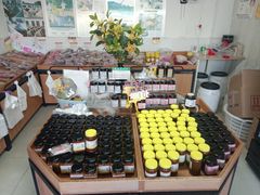 -苏州市吴中区光福窑上花果蜜饯厂