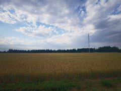 -瀛海足球主题公园