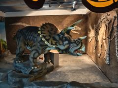 -安徽省地质博物馆