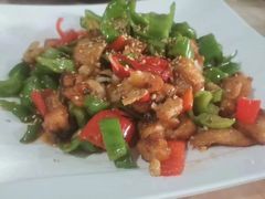 -煲来饱去冷水鱼