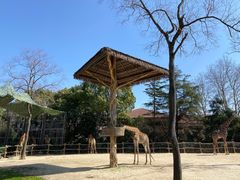 -上海野生动物园