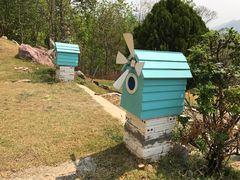 -黄色小屋
