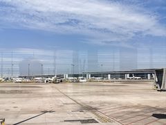 -上海浦东国际机场-T2航站楼
