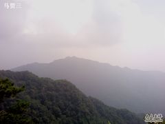 -王顺山国家森林公园