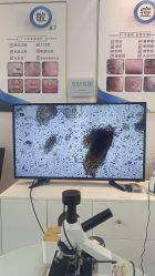 -黎蓓露·徒手骨雕蛋白抗衰·调肤管理