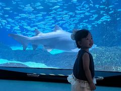 -海合安成都极地海洋公园