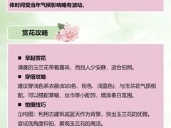 -护国法轮寺