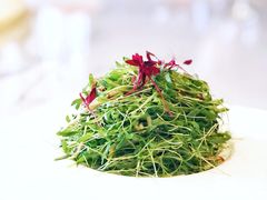 -浦江二号·独栋江景餐厅(滨江大道店)