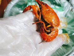 -盒马鲜生(财富中心店)