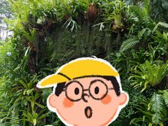 -深圳仙湖植物园