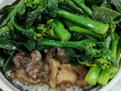 原盅牛腩饭-仁信双皮奶(东川路店)