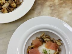 -蝶舍·MAISON PAPILLON