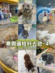 -神奇动物撸宠馆·羊驼·小浣熊·异宠(豫园店)