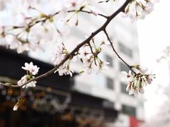 -玛格萝妮比萨屋(四平店)