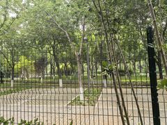 -大兴滨河森林公园