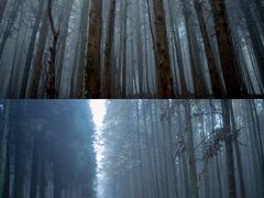 -山王坪喀斯特国家生态公园