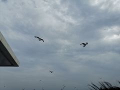 -海驴岛(荣成市)