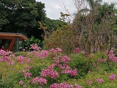 -四海公园(南山区)