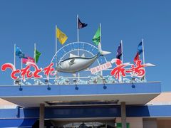 -海鮮寿司とれとれ市場