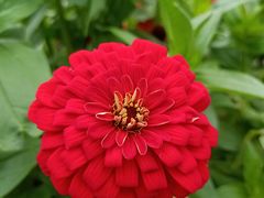 -长春公园(普阳街道)