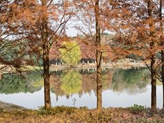 -月湖风景区