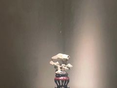 -觀芷隐轩